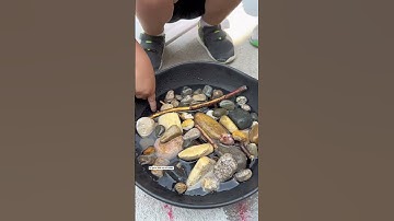 🌺🦋 Thirsty pollinators? Not on our watch! 😎🐝 #summeractivities #savethebees #pollinators