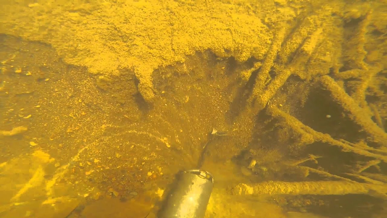 Gold Dredgeing in NC showing Gold found YouTube
