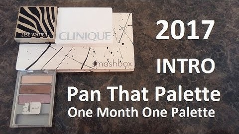 2017 PAN THAT PALETTE INTRO & One month one palette