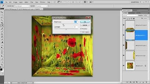 Mirror Box Effect in Photoshop - Week 75