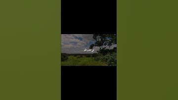 [الزمر: 57] القارئ عبد البديع غيلان