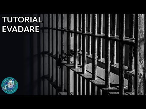 Video: Un Hoț Nu Ar Trebui Să Meargă La închisoare