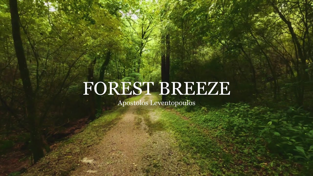 Forest Breeze - Apostolos Leventopoulos - YouTube