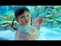2歳の娘と行く念願の水族館デート！！