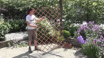 Large Expanding Timber Garden Trellis