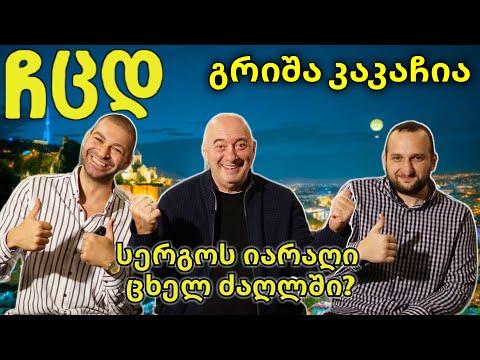 • სერიALL- დავით კვირცხალია • ჩცდ • იარაღის ამბავი ცხელ ძაღლში? •