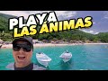 Playa Las Ánimas | PUERTO VALLARTA, Jalisco Mexico