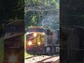 Locomotiva com raio na pintura no Carga geral.