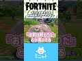 【親子実況】ボクとお母さんのほのぼのフォートナイト【Fortnite】
