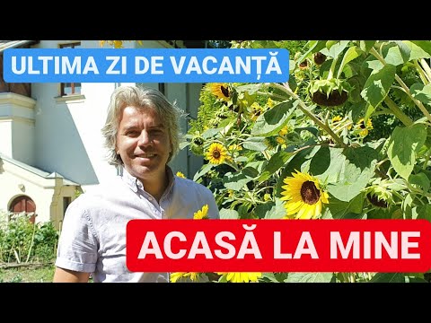 Video: De ce arhitectura verde este investiția perfectă pentru casa ta