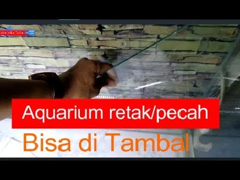 Cara Menambal Kaca Aquarium Yang Retak/Pecah Sendiri !!!Siapa Takut #Vlog31 - Youtube