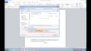Word Document Classification