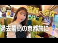 【観光特急あをによし】京都から奈良に行くなら絶対乗るべし!移動を楽しむ最高の特急!
