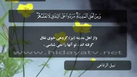 081 / جزء 11 / سوره توبه (93-110) / تلاوت قرآن با صدای نبيل الرفاعي