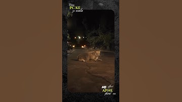 capcut Invisible effect in mobile #capcut #chatgpt #gemini #prompt #shorts