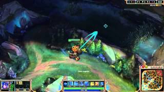 Sejuani wall thing