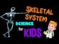 Skeletal System | Science For Kids