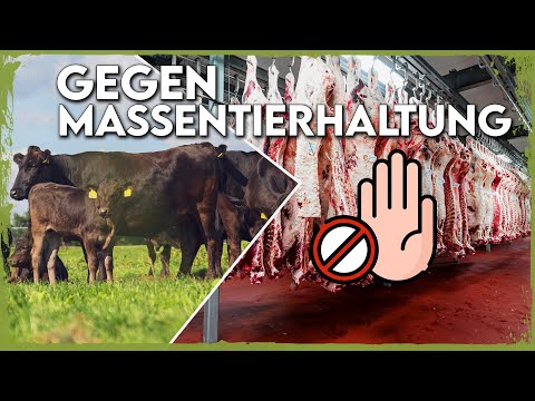 Video: Wird Wagyu-Fleisch artgerecht aufgezogen?