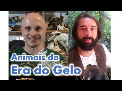 Vídeo: Pet Scoop: Menino e cachorro resgatados da ilha, ursos polares no zoológico do Reino Unido tornam-se melhores amigos