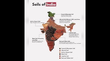 Soils of India. @geographybysahelimaam375