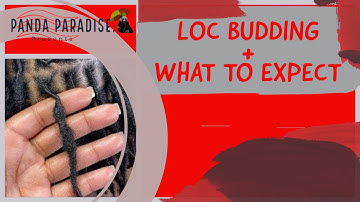 Loc Budding | Everything You Need to Know About Loc Budding | Starter Loc Journey