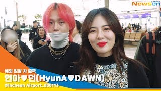 현아♥던(HyunA♥DAWN), '부업으로 양봉업 하는 커플, 오늘도 꿀 떨어진다' [NewsenTV]