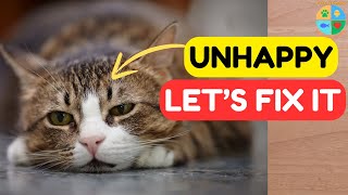 20 Things That Hurt Your Cat's Feelings (And How to Stop)