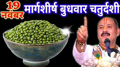 19 नवंबर मार्गशीर्ष बुधवार चतुर्दशी तिथि के दिन 7 हरे मूंग वाला उपाय जरुर करे || Pradeep Ji Mishra