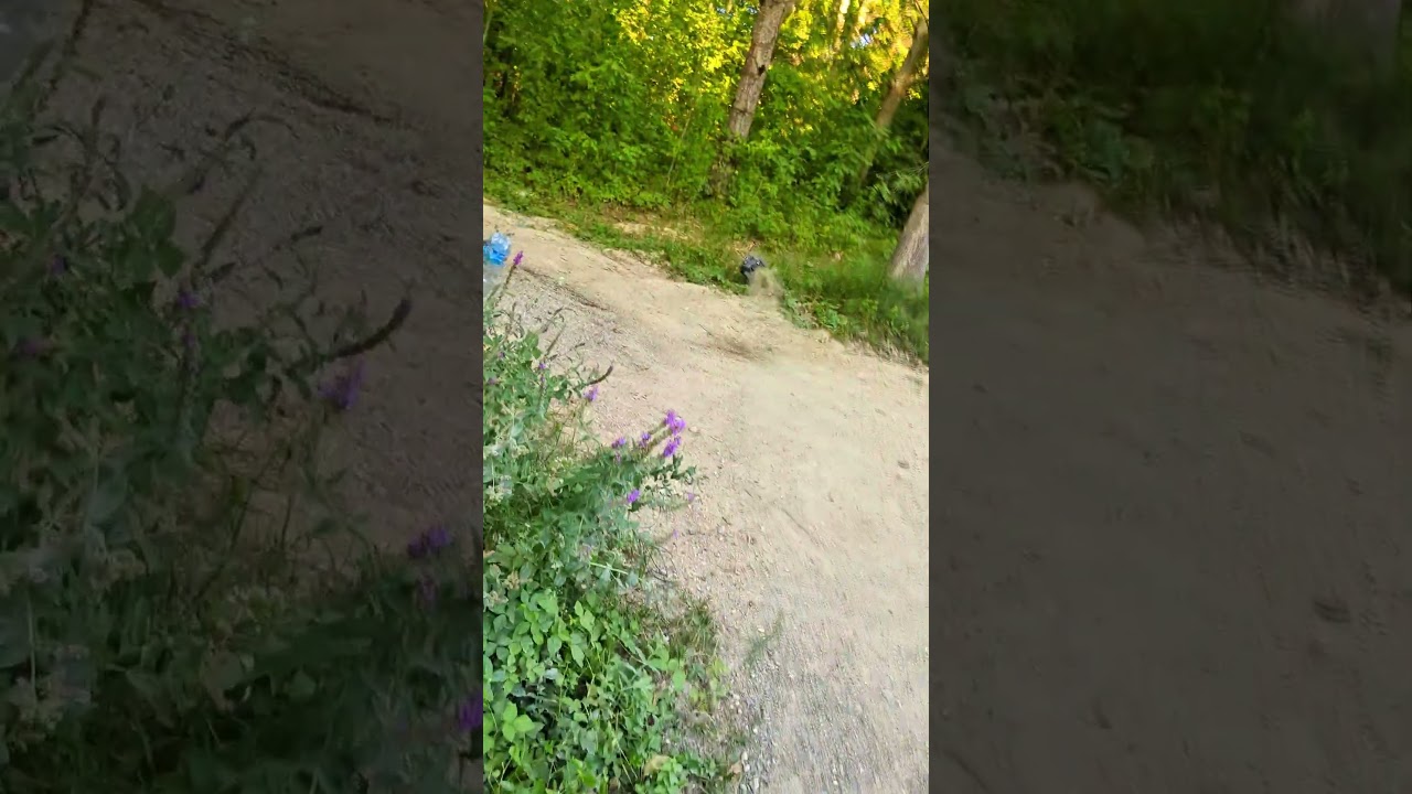 RC дтп, zd pirate 