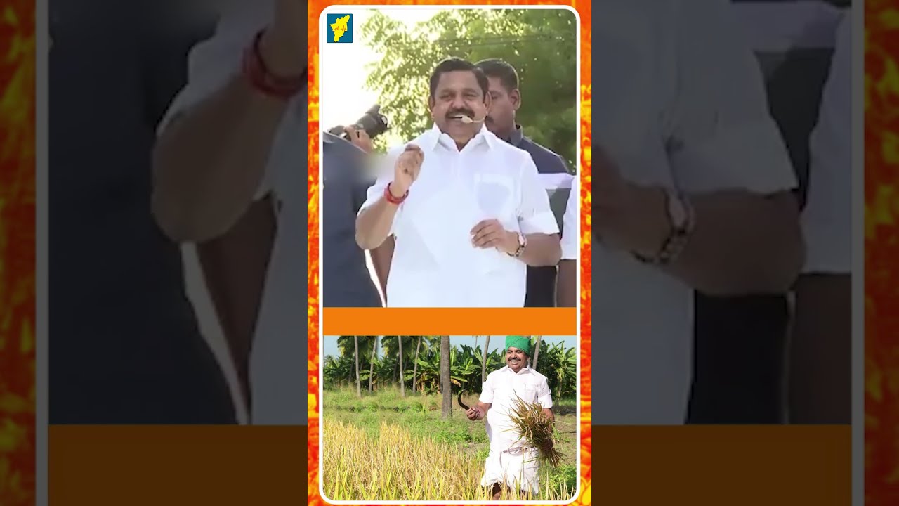  Mass Tamizhaga Pulse