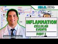 Immunology | Inflammation: Cellular Events | Part 2