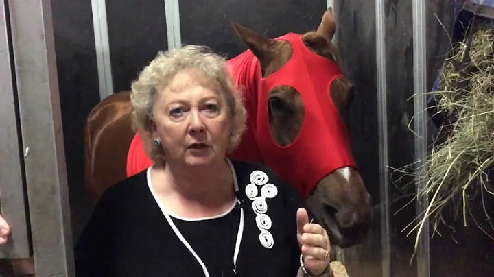 2016 AQHA West Level 1 Karen Loesch
