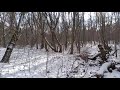 Normafa Forest, 2021.01.17. Adventures