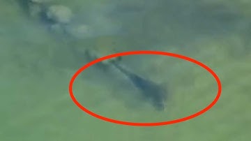 10 Megalodon Sightings That Might Prove It Exists!