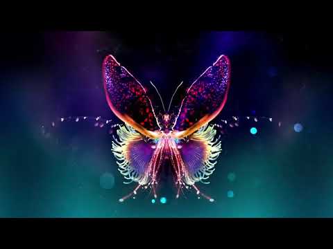 tritonal---out-my-mind-feat.-riley-(official-video)---grs-release