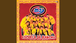 El Mechón