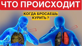 Что Происходит, когда бросают курить?