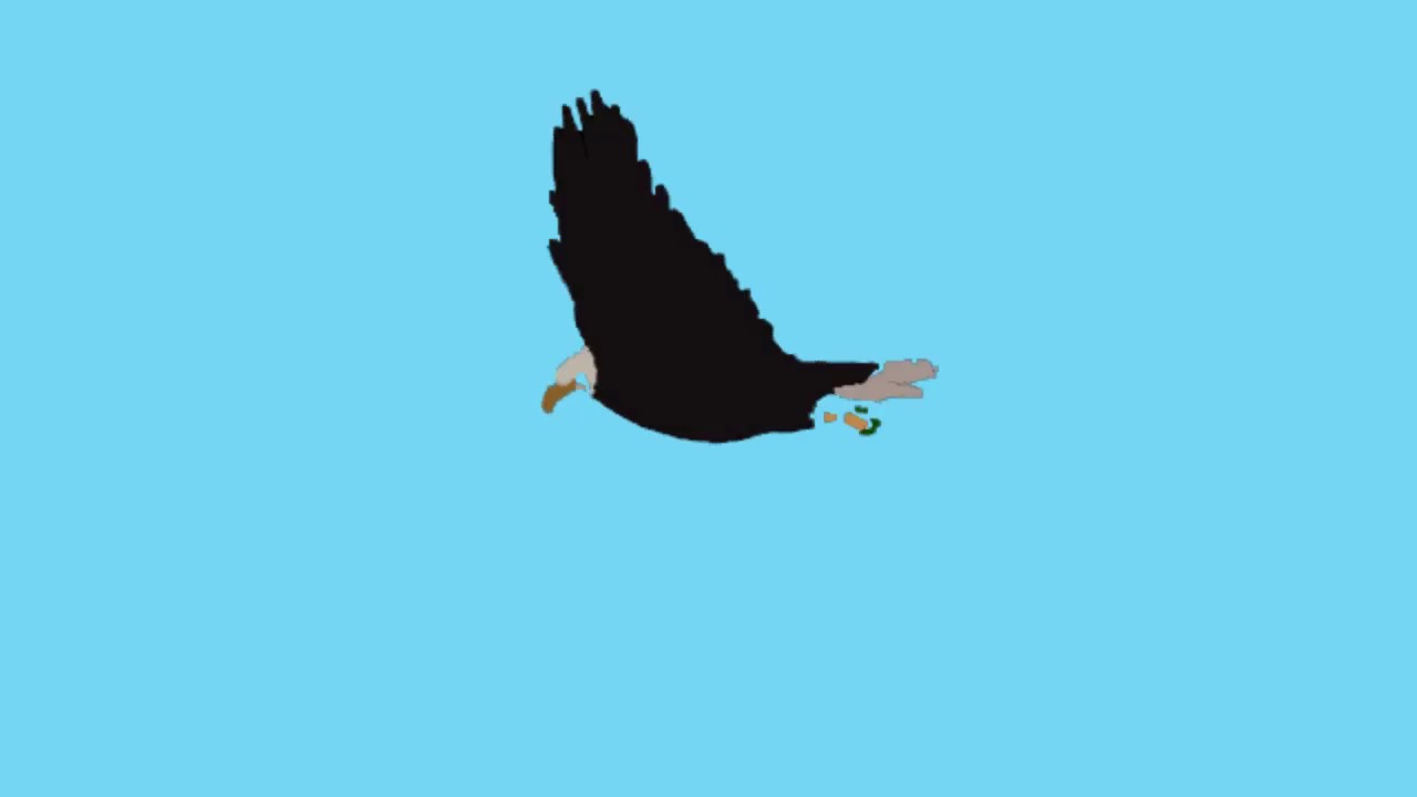 Wing Flapping Animation Eagle Flying Flapping Wings Rotoscope Animation - YouTube