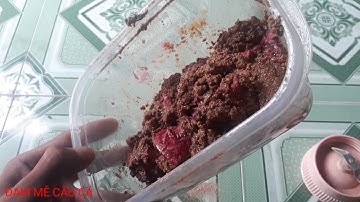 Câu Cá TV Mồi câu Cá lăng cá trê!Mồi Câu Cá lăng,Cá trê sông, đơn giản  - hiệu quả, || Bài mồi mới