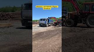 Доставка опилок в Горно-Алтайске #алтай #горноалтайск #чемал #майма #манжерок #камаз