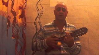 Charango LU 19