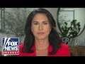 Tulsi gabbard this is a very serious wakeup call