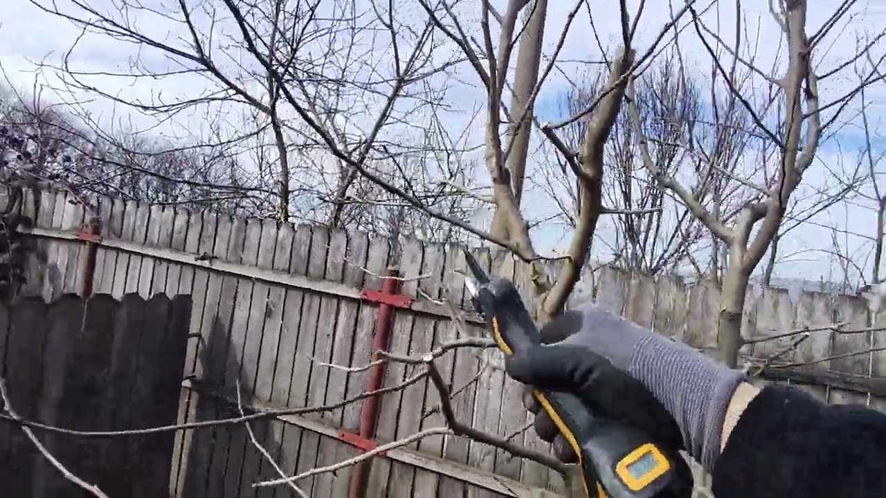 Tăierea la par format cu lider central 🍐✂️