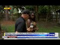 Mobile scientist: Here's how to avoid mosquitoes during the summertime