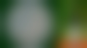 Week 14: Live Wine Tasting - De Iuliis Wines 2019 Estate Range Shiraz