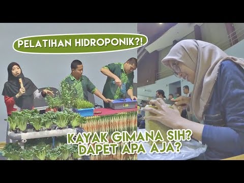 🌱 TERNYATA SEPERTI INI TOH PELATIHAN HIDROPONIK