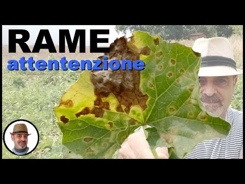 Video: Cosa succede quando il carbonato di rame è fortemente riscaldato?