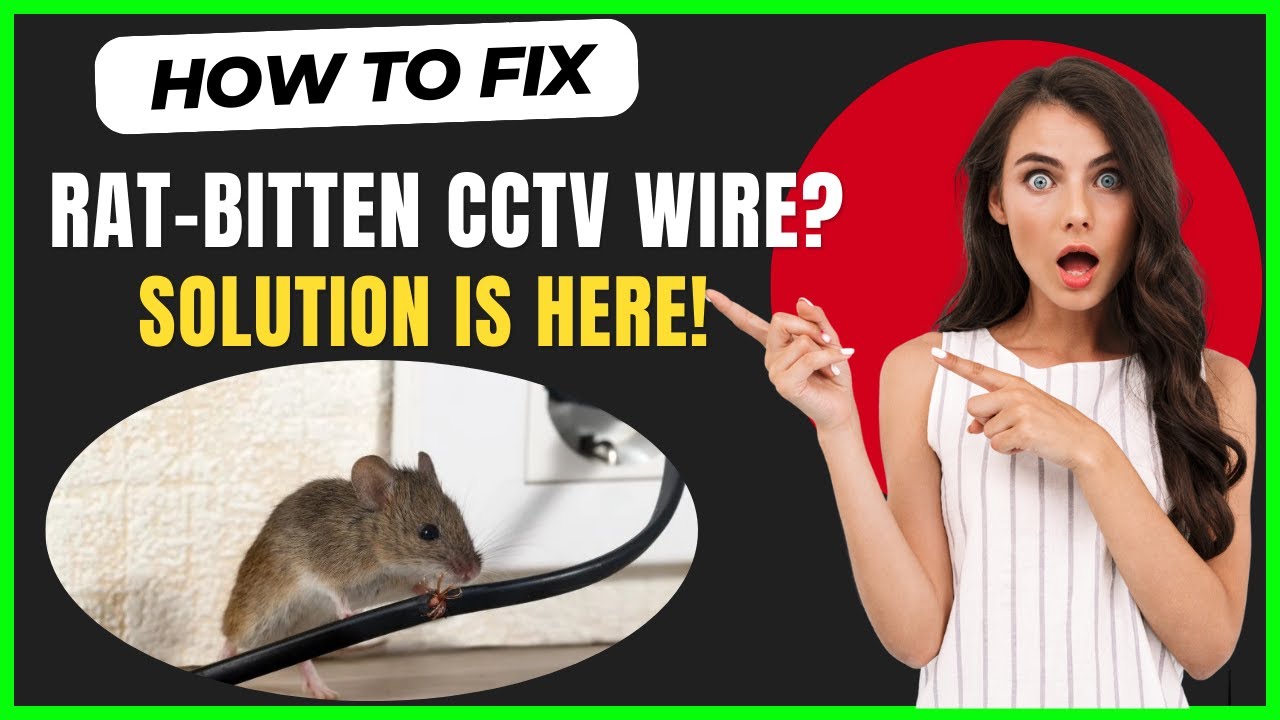 How to Fix CCTV Camera Wire Damaged by Rats | Restore Live Camera Feed ...
