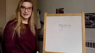 Phonics lesson -- Vowel Digraph oa, long o (-oat and -oan words)