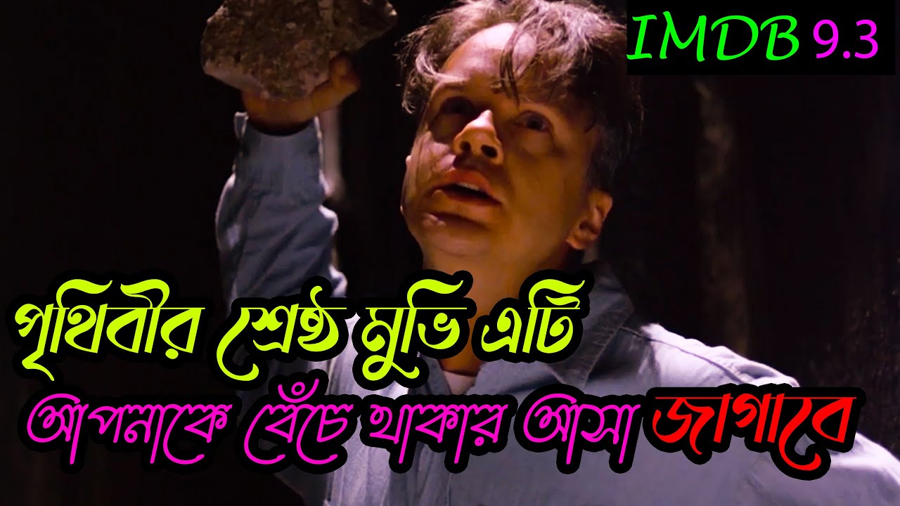 ২০ বছর ধরে প্ল্যান করে জেল থেকে পালানোর গল্প The Shawshank Redemption Movie Explained in